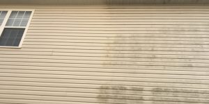 Siding Cleaning in Chico, California
