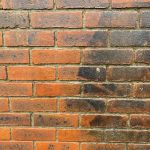 Brick Cleaning