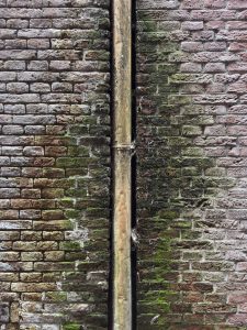 What You Need to Need to Know About Brick Cleaning